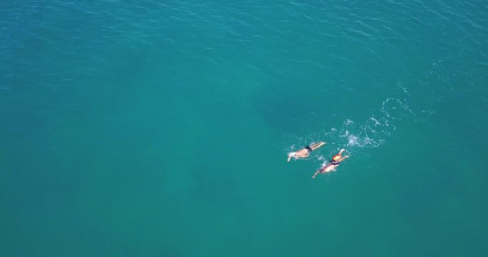 Two swimmers practicing in a long distance swim at calm ocean water. Top Down aerial footage.