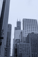 Skyscrapers of Chicago in the fog