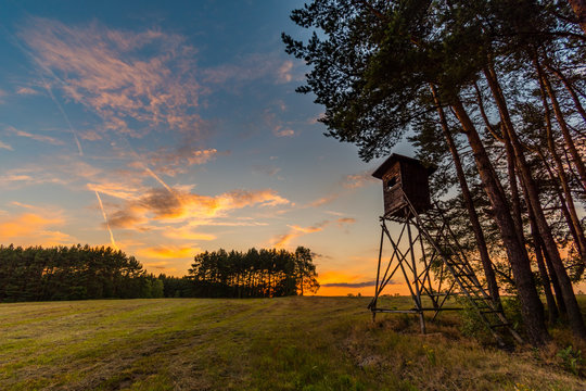 Deer stand (tree stand) beside field and forest at sunset light, Czech republic