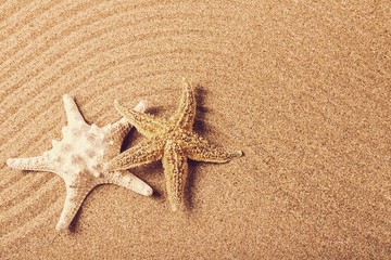 Fototapeta na wymiar Shells in the sand on the beach background