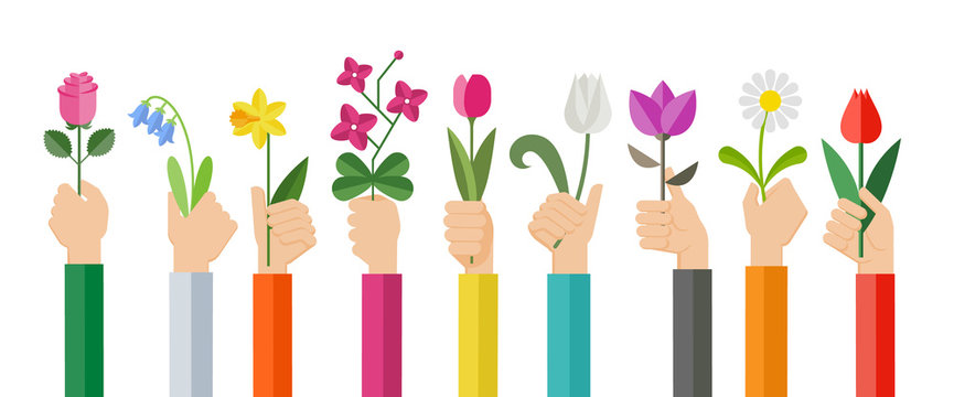 Flat design illustration of hands holding various flowers. Hands holding rose, tulip, orchid, espatifilo, bells flowers, bellis perennis, bulb flowers.