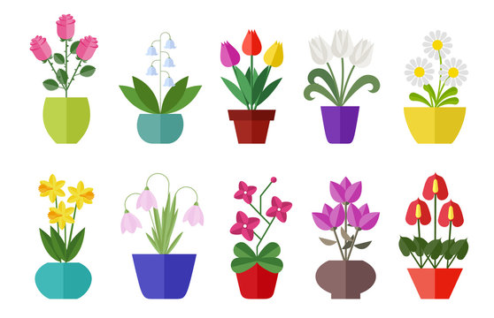 Flower flat icon set isolated on white. Various flowers in a vase including rose, tulip, orchid, Espatifilo, bells flowers, Bellis perennis, bulb flowers.