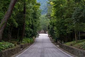 Fototapeta premium [島根県]出雲大社