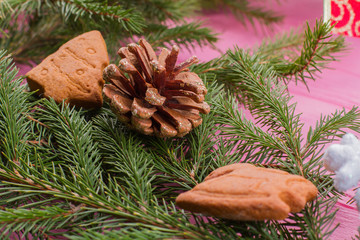 Close up fir branches with cone. Fresh spruce twigs with cone and gingerbread cookies. Winter holiday background.