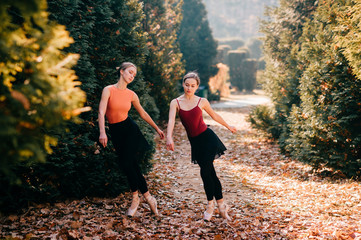 Two funny ballerinas practicing and falling on autumn leaves on the ground in sunny park.