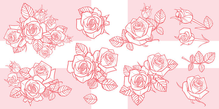 Vector illustration monochrome roses and leaves elements. Perfect for greeting cards and invitation cards for romantic occasions. Easily do light background watermarks or gold stamping.
