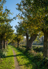 Naklejka premium Kulturdenkmal 