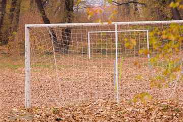 A stadium and a gate for ball games in the nature