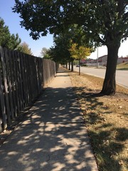 walkway to the beach