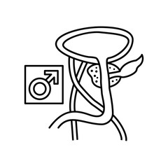 Prostate gland male icon. Simple line, outline vector of urology icons for ui and ux, website or mobile application