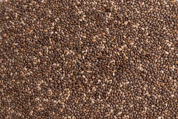 Chia seeds  isolated on white background, angle view, copy space, studio shot, soft light. Latin name (Salvia hispanica).