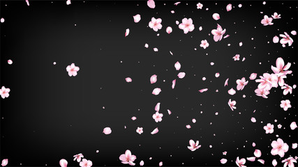 Nice Sakura Blossom Isolated Vector. Tender Blowing 3d Petals Wedding Frame. Japanese Bokeh Flowers Wallpaper. Valentine, Mother's Day Spring Nice Sakura Blossom Isolated on Black