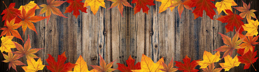 Naklejka na ściany i meble autumn – frame made of colorful leaves isolated on brown rustic wooden texture – background panorama banner long