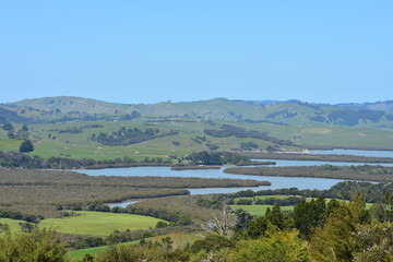 Fototapeta na wymiar Farmland on west coast of New Zealand with harbor shallows full of mangroves.
