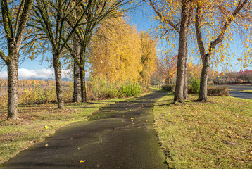 Fototapeta na wymiar Public park in Fairview Oregon.
