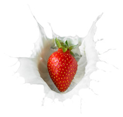 juicy sweet strawberries falling into a bowl of milk cream with splashes in all directions, isolated on white