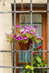 Fototapeta na wymiar Flower arrangement on window in Impruneta, Italy