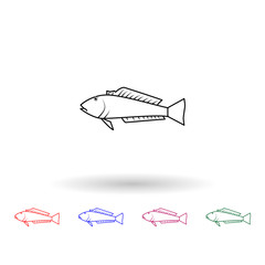 Blue cod raawaru multi color icon. Simple thin line, outline vector of fish icons for ui and ux, website or mobile application