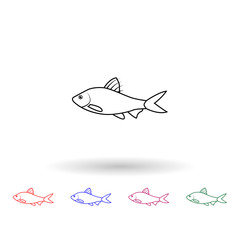 Puntius filamentosus multi color icon. Simple thin line, outline vector of fish icons for ui and ux, website or mobile application