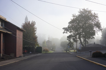 Suburban neighborhood street on a misty fall morning.