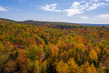 Autumn Hills