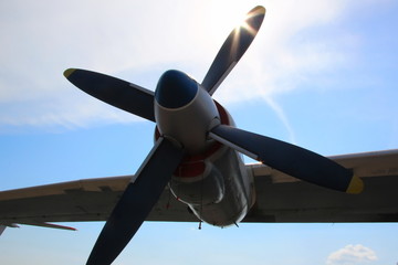 Naklejka na ściany i meble wing and propeller blades against the blue sky