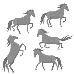 Set of spotted gray horses isolated on a white background. Vector graphics.