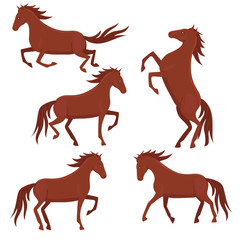 Set of brown horses isolated on a white background. Vector graphics.