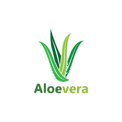 Aloe vera logo vector illustration template
