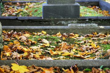 Autumn leaves in a cemetery