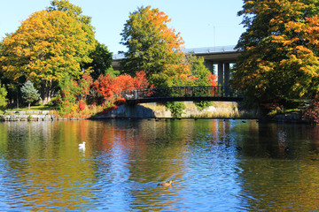 Looking across a pond at the opposite shore and a footbridge that crosses a river at the head of the pond, autumn.