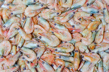 boiled shrimp with greens on the whole frame as a background