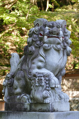Fototapeta na wymiar 大矢田神社の親子の狛犬