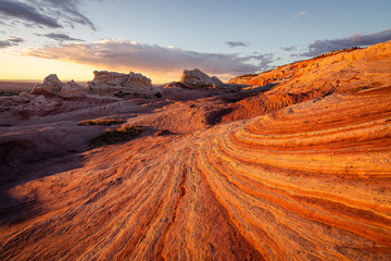 A Walk Through Mars also Known as White Pocket Arizona 