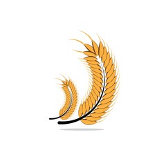 Agriculture wheat Logo Template