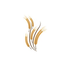 Agriculture wheat Logo Template
