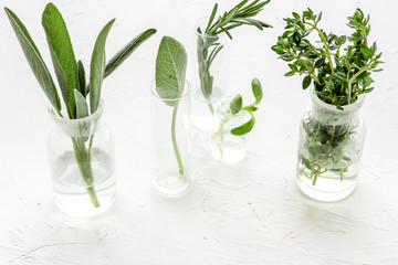 Fototapeta na wymiar Healing herbs in glasses on white background