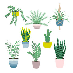Set of house plants isolated on white background. Potted plants. Vector illustration in flat style.
