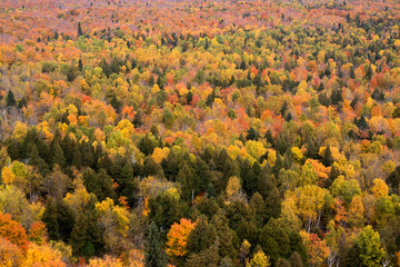 Lake Superior National Forest, Minnesota, USA in autumn colors.