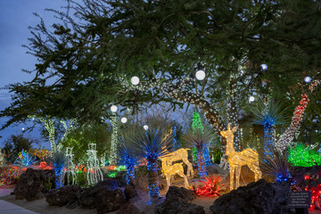 Fototapeta premium Night view of many Christmas lights