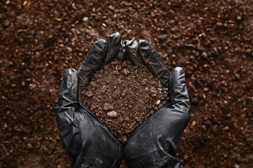 Hands in gloves and with brown soil