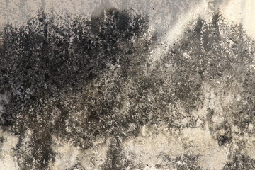 abstract,Texture of old concrete wall,Grey Cement textured abstract background,old wall with lichen,Dirty white wall background  close up moss texture on cement wall,