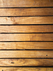 Wood texture - Tree - Wood plank