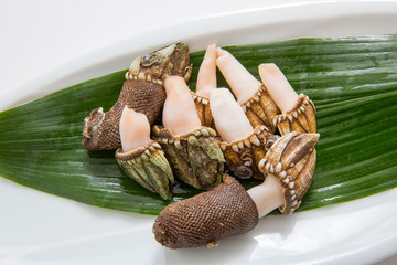 日本産のカメノテ、海鮮食材、貝