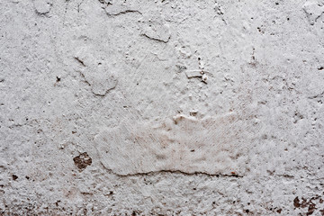 Texture of a concrete wall with cracks and scratches which can be used as a background