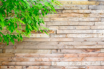 wood fence texture pattern background with green grass.