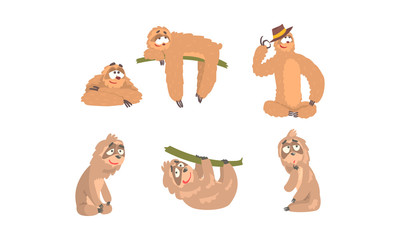 Sloth Cartoon Character Expressing Different Emotions Vector Set