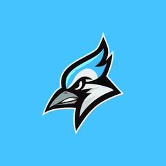blue jay bird color head mascot logo icon designs vector illustration
