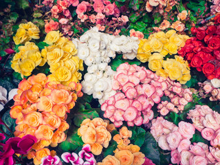 Colorful flowers on the ground in garden, vintage filter