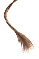 Brown twisted hair on white background, isolated. Looks like animal tail